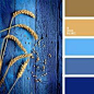 Mike likes shades of blue with spare colors of gold