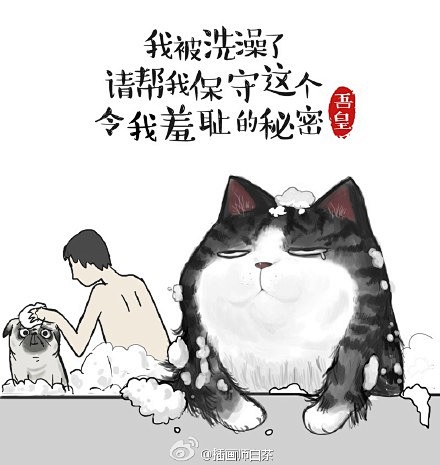 插画师白茶的微博_微博