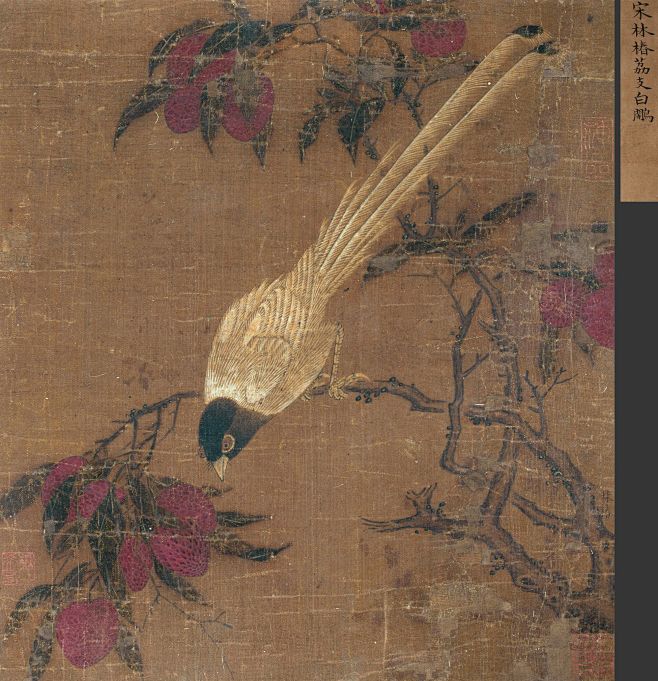 南宋_林椿_荔枝白鹇图