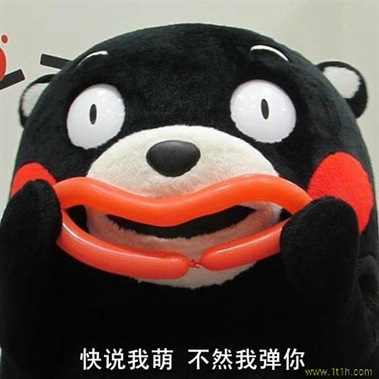 快说我萌不然我弹你熊本熊表情包