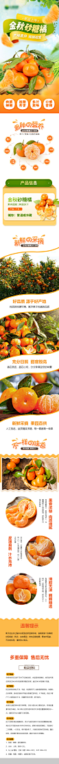 砂糖橘长图