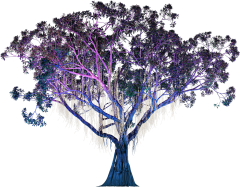 阳光暖暖~采集到树素材 png●素材