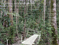 12-Conservation-at-the-Edge-Reed-Hilderbrand-LLC-Landscape-Architecture.jpg (1215×927)