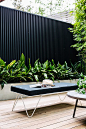Our courtyard feature in the new Planted Magazine! Planted Magazine - Photographer: Hannah Blackmore - Stylist: Alana Langan