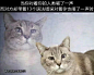 来自分享