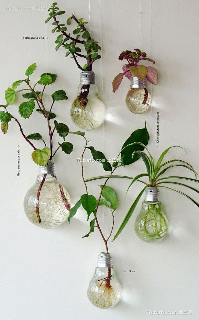 创意家居用品植物花瓶设计