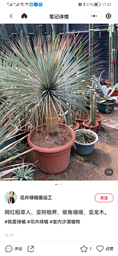 龚纯剑采集到沙漠植物