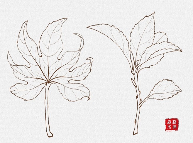 植物线稿_森林木偶__插画师作品_涂鸦王...