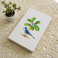 涂鸦本 猫空 猫的天空之城涂鸦本 文艺手绘-鸟笔记本 本子 礼物-淘宝网