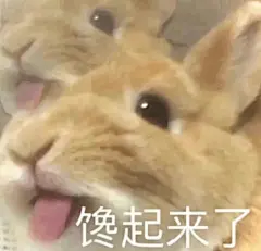 微信图片_20220808094054