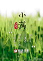 【24节气-小满】各大品牌借势营销闪屏及海报分享