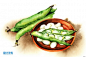 豌豆 水果蔬菜美食手绘插画JPG高清图片设计素材