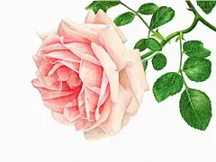 手机端、无线端首页、手机端首页、手机APP首页、淘宝手机端首页、天猫手机端首页、男装手机端首页、女装手机端首页、食品手机端首页、饰品手机端首页、童装手机端首页、母婴手机端首页、电器手机端首页、箱包手机端首页、鞋子手机端首页 无线钻石展位，首焦资源位，创意海报设计，手机端海报，无线钻展，淘宝APP，天猫APP，首焦海报，天猫京东电商活动轮播海报平面设计 男女装 家电数码 电器建材 母婴玩具 箱包女鞋 珠宝首饰 美妆 化妆护肤品 食品 茶 酒 电脑办公
家居背景、家居海报背景、海报背景、家居场景、家装背景、家