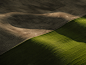 Washington wheat green Sustainable Nature agriculture farming organic hills palouse