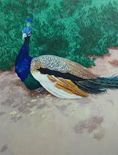 艺术作品 | 油画,国画,版画,雕塑,陶艺,设计,插画,摄影,动漫,工艺品,人体艺术,手工,首饰,服装,美术,手绘等艺术品-艺起来 - 专业的艺术社交电商及艺术版权交易平台。