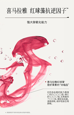 lxxjsdmn采集到版式
