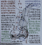 认证空间 -- 新美术网校 [http://newmeishu.qzone.qq.com]