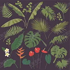 植物 【酷图网】花卉边框,欧式花纹,彩绘花环,时尚花纹,水彩花环,花叶边框,森系边框,花纹边框,边框素材,婚庆边框,文本边框,手绘花纹,创意花边,花叶,鲜花,花语,花艺,文艺风,花艺插花,浪漫唯美花藤,森系小清新,唯美花藤,手绘花卉,婚礼花环,浪漫花环,浪漫花藤,花卉花草,欧式花环,花瓣,花蕊,花朵边框,植物花草