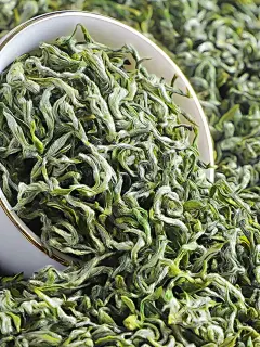 【明前2024新茶】贵州都匀毛尖茶叶明前春茶全芽头正宗手工茶500g-tmall.com天猫