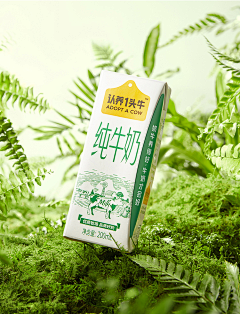 后半句话hh采集到食品拍摄
