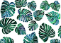 热带植物图案设计