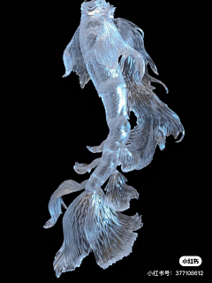 个人取向采集到插画