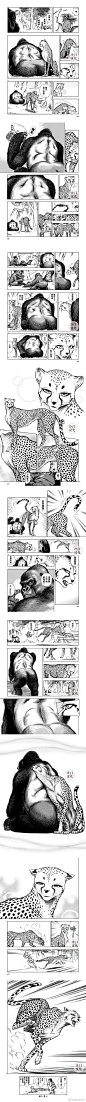 漫画 - 首页 - 微博