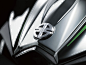 15ZX1000N_Emblem