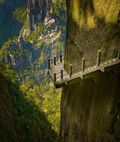 雨中努力奔跑采集到美景