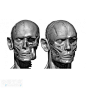 男性完整身体超精细雕刻3D模型-CG模型-微元素 - Element3ds.com!