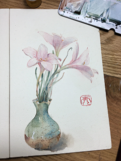 辛巴宝贝采集到A花卉(二)