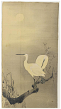 日本画家小原古邨工笔花鸟作品欣赏 —— 小原古邨（おはらこそん，Ohara）（1877年-1945年），日本画家，本名小原又雄，1877年生于日本金泽，日本画家铃木华邨的学生。他的作品以花鸟、植物、动物为主。细腻逼真，色彩柔和流畅，是极为精致的室内装饰画。在美国Ernest Fenollosa博士的指引下，创作了许多销往美国的kacho-ga作品。