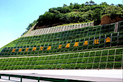 Cherry(≧▽≦)采集到护坡/护坝/挡土墙/拦河坝/石笼景观