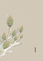 水彩 植物花卉 插画 artistic青尘/绘