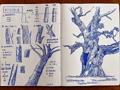 jLxL5LOV采集到钢笔画