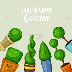 华丽的,树木造型,植物群,黄杨木,春天,嫩枝,简单背景,树,休闲