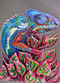 Colored Pencil Drawing of a Chameleon by CatherineBradlyArts, $495.00 on Etsy #art #drawing