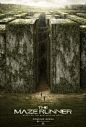 电影《迷宫行者The Maze Runner》宣传海报欣赏