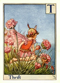 爱画画的小呆毛采集到Cicely Mary Barker