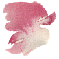 唯美水彩粉色花卉婚礼请柬海报卡片装饰免抠PNG图案 PSD模板素材 (104)