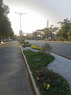 Natalie886采集到道路绿化