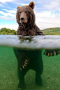 Half and Half ~ by Sergey Gorshkov