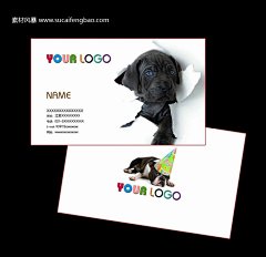 宠物店名片 手绘名片 卡通 卡通动物 卡通图片宠物 宠物店 宠物广告 宠物店素 #PSD##PSD模板# ★★★★★ http://www.sucaifengbao.com/psd/mingpian/
