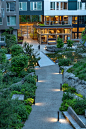环境静修型住宅景观，西雅图锡特卡公寓 / Berger Partnership