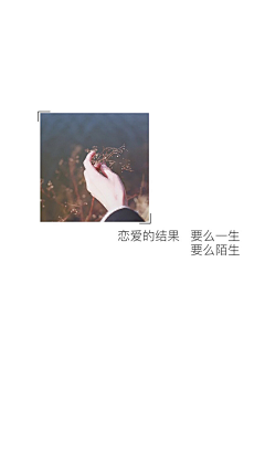 迷途し何先生采集到字体设计