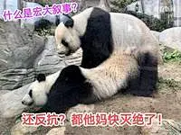 (54 封私信) 年轻人应该如何看待宏大叙事？ - 知乎