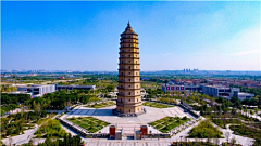 受苦受难打工人采集到111