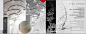 e1e09311bc4bda356e3535ac7d94eed0.jpg (735×288)