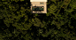 62bef013-4919-48d8-bdaf-c0306bea2ec0