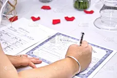 新娘,证人,玫瑰花瓣,青少年,水平画幅,墨水,白人,文档,青年人
